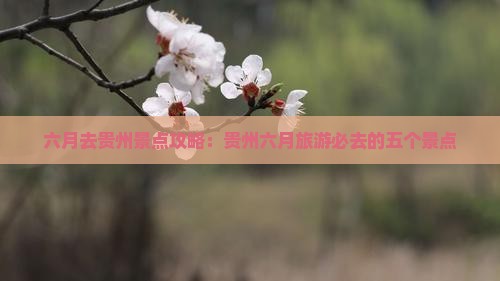 六月去贵州景点攻略：贵州六月旅游必去的五个景点
