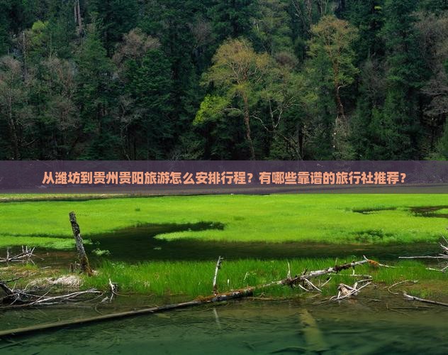 从潍坊到贵州贵阳旅游怎么安排行程？有哪些靠谱的旅行社推荐？