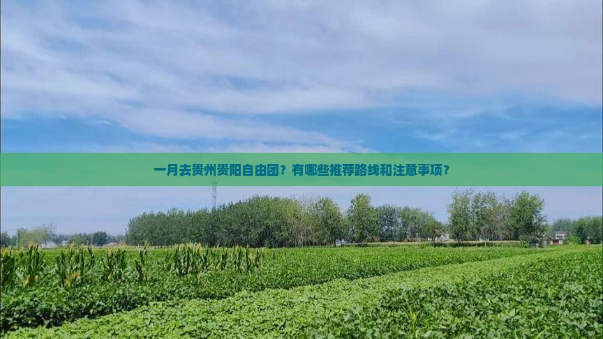 一月去贵州贵阳自由团？有哪些推荐路线和注意事项？