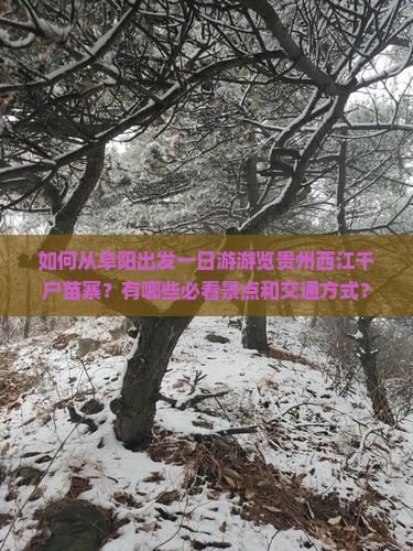 如何从阜阳出发一日游游览贵州西江千户苗寨？有哪些必看景点和交通方式？