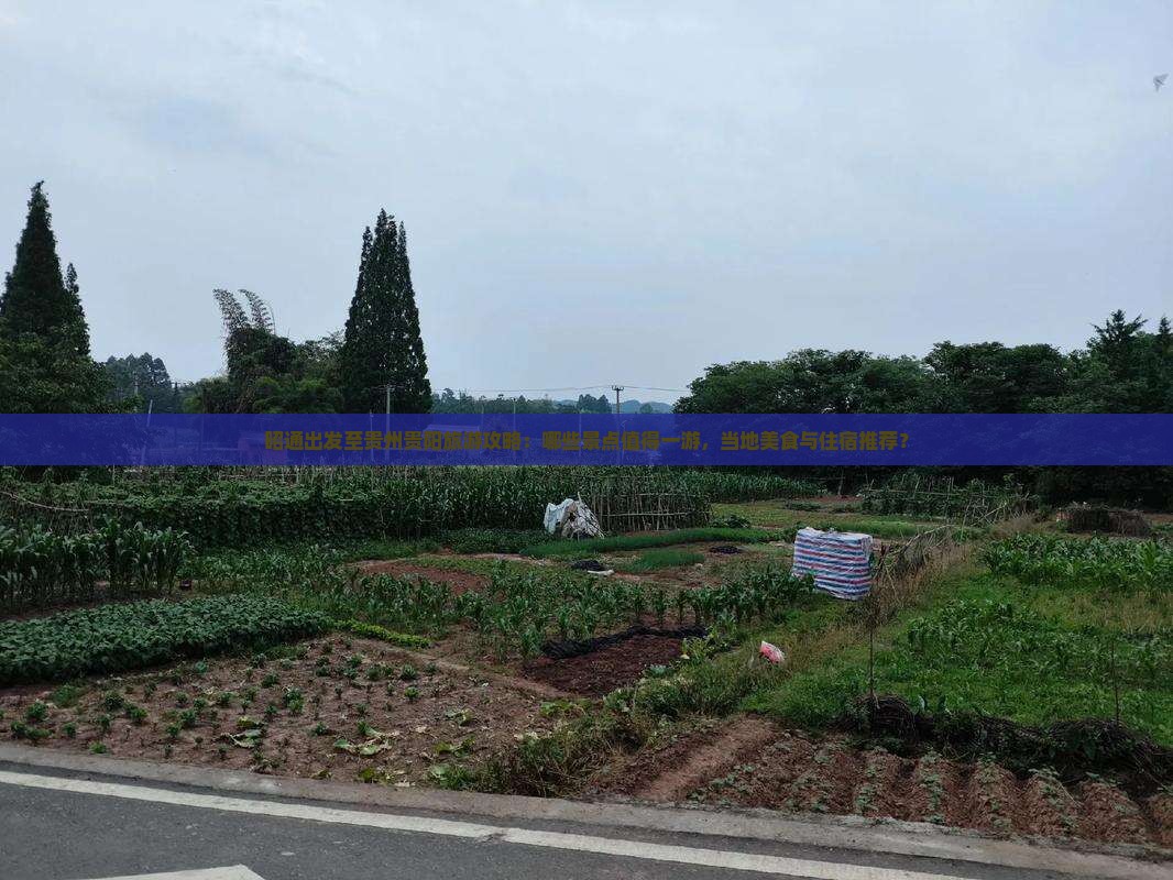昭通出发至贵州贵阳旅游攻略：哪些景点值得一游，当地美食与住宿推荐？