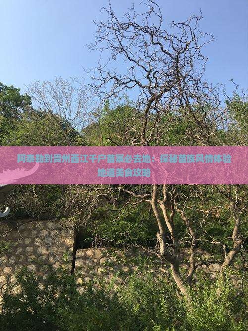 阿泰勒到贵州西江千户苗寨必去地：探秘苗族风情体验地道美食攻略