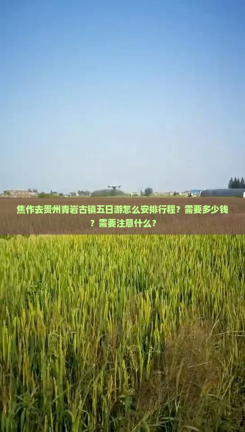 焦作去贵州青岩古镇五日游怎么安排行程？需要多少钱？需要注意什么？