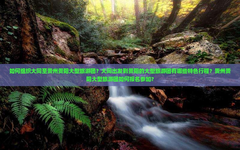 如何组织大同至贵州贵阳大型旅游团？大同出发到贵阳的大型旅游团有哪些特色行程？贵州贵阳大型旅游团如何报名参加？