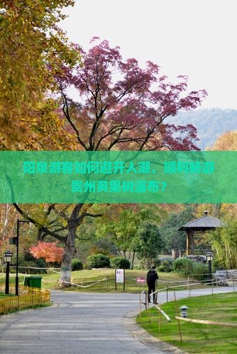阳泉游客如何避开人潮，顺利畅游贵州黄果树瀑布？