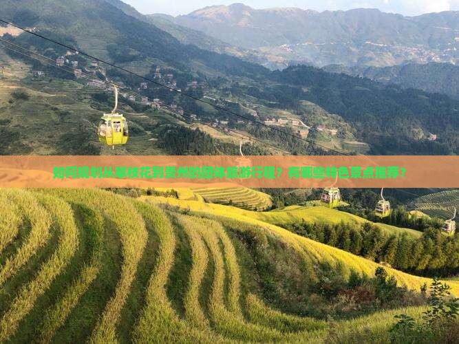 如何规划从攀枝花到贵州的团体旅游行程？有哪些特色景点推荐？