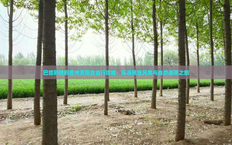 巴音郭楞到贵州贵阳自由行攻略：探寻民族风情与自然美景之旅