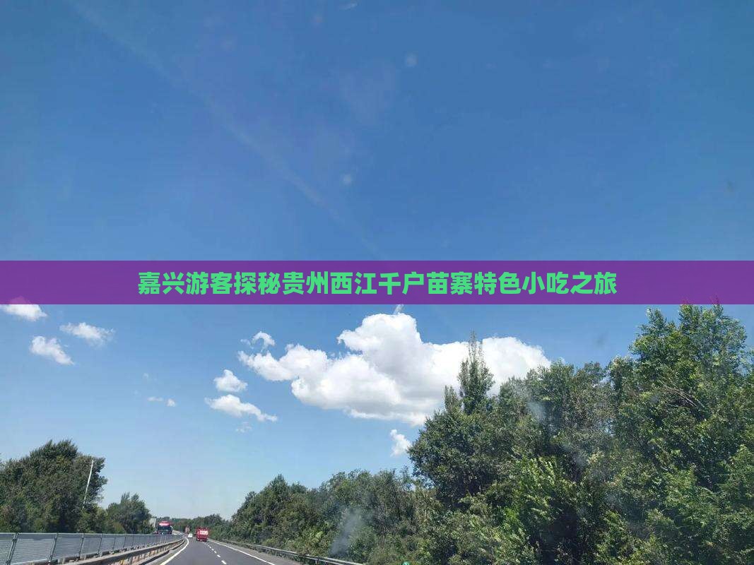 嘉兴游客探秘贵州西江千户苗寨特色小吃之旅