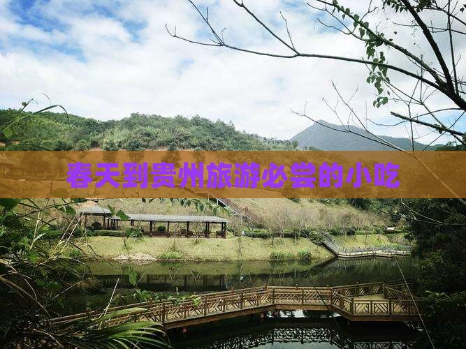 春天到贵州旅游必尝的小吃