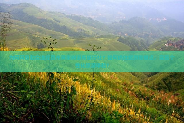 为何阿泰勒会选择贵州黄果树瀑布旅行社？如何抓住旅游新痛点，实现个性化旅游体验？