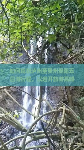 如何规划泸州至贵州贵阳五日游行程，以避开旅游高峰和解决住宿难题？