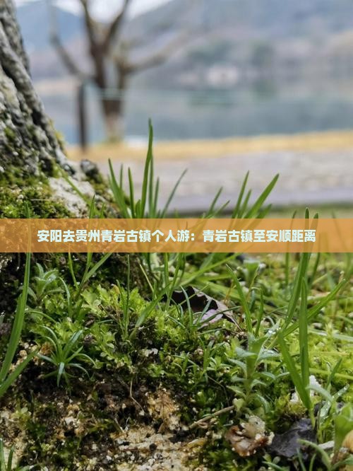 安阳去贵州青岩古镇个人游：青岩古镇至安顺距离