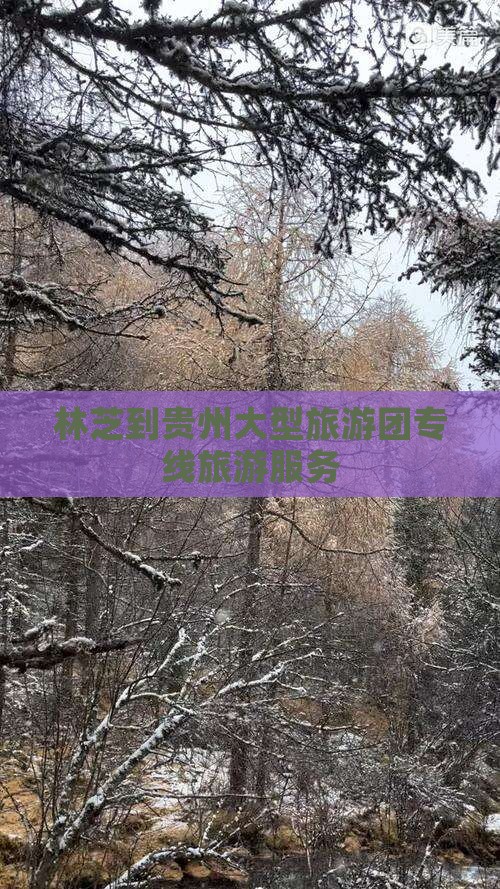 林芝到贵州大型旅游团专线旅游服务