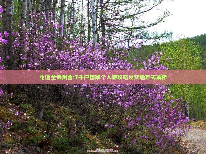 昭通至贵州西江千户苗寨个人游攻略及交通方式解析