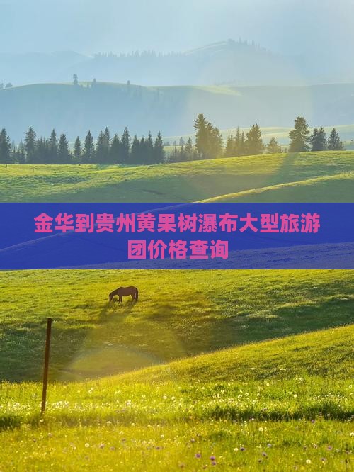 金华到贵州黄果树瀑布大型旅游团价格查询