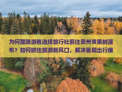 为何醴陵游客选择旅行社前往贵州黄果树瀑布？如何抓住旅游新风口，解决暑期出行痛点？