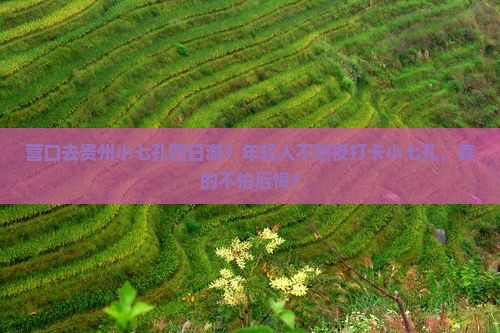 营口去贵州小七孔四日游？年轻人不熬夜打卡小七孔，真的不怕后悔？