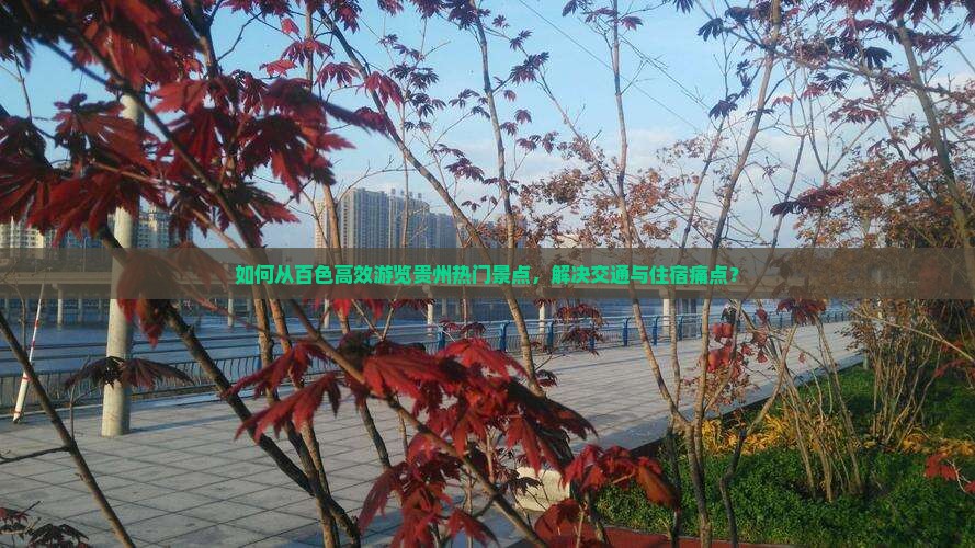 如何从百色高效游览贵州热门景点，解决交通与住宿痛点？
