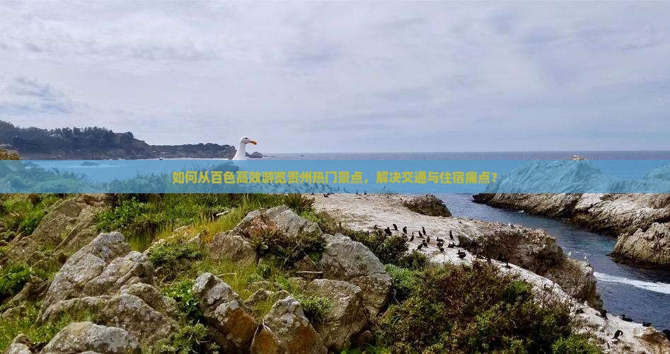 如何从百色高效游览贵州热门景点，解决交通与住宿痛点？