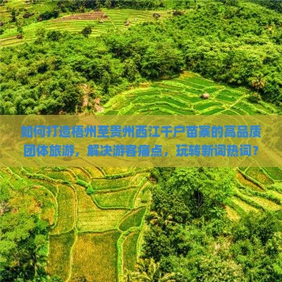 如何打造梧州至贵州西江千户苗寨的高品质团体旅游，解决游客痛点，玩转新词热词？