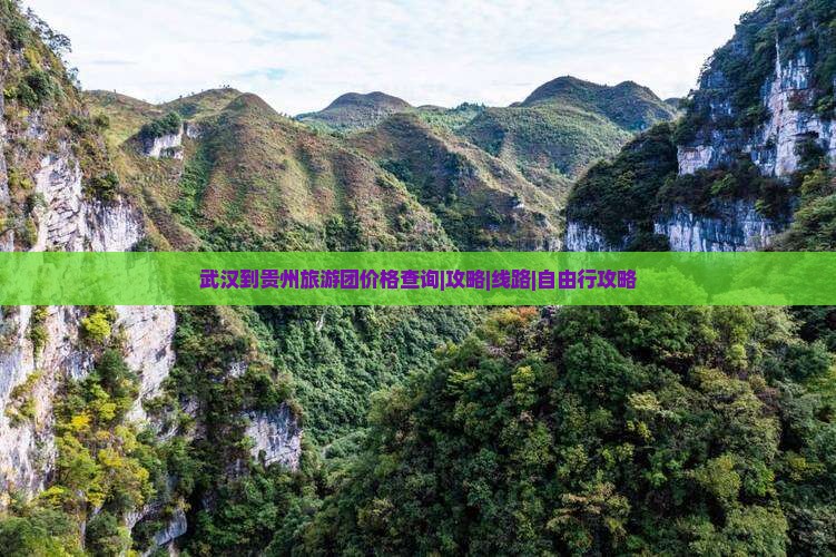武汉到贵州旅游团价格查询|攻略|线路|自由行攻略