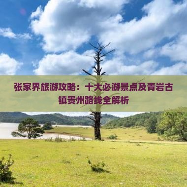 张家界旅游攻略：十大必游景点及青岩古镇贵州路线全解析