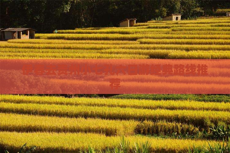 伊春去贵州小七孔六日游经典路线推荐