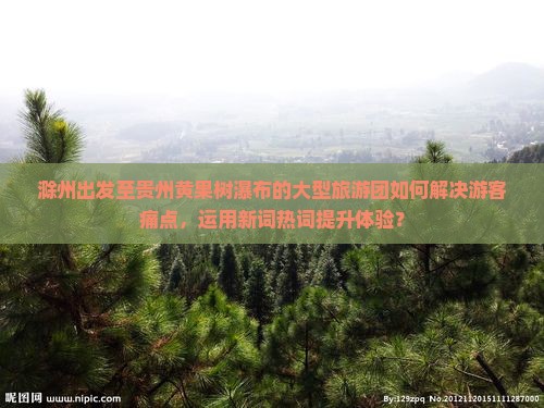 滁州出发至贵州黄果树瀑布的大型旅游团如何解决游客痛点，运用新词热词提升体验？