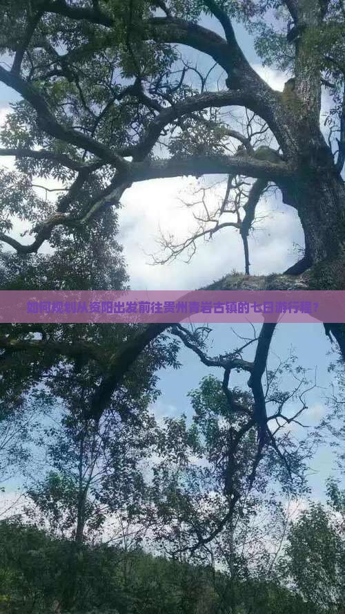 如何规划从资阳出发前往贵州青岩古镇的七日游行程？