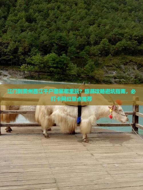 江门到贵州西江千户苗寨哪里玩？旅游攻略避坑指南，必打卡网红景点推荐