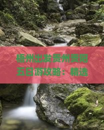 梧州出发贵州贵阳五日游攻略：精选景点与深度旅游体验