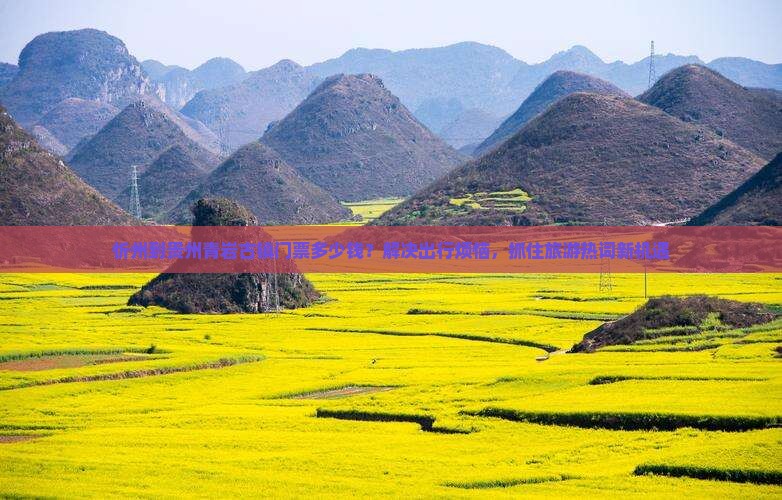 忻州到贵州青岩古镇门票多少钱？解决出行烦恼，抓住旅游热词新机遇