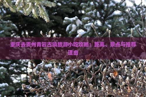 重庆去贵州青岩古镇旅游小吃攻略：距离、景点与推荐理由