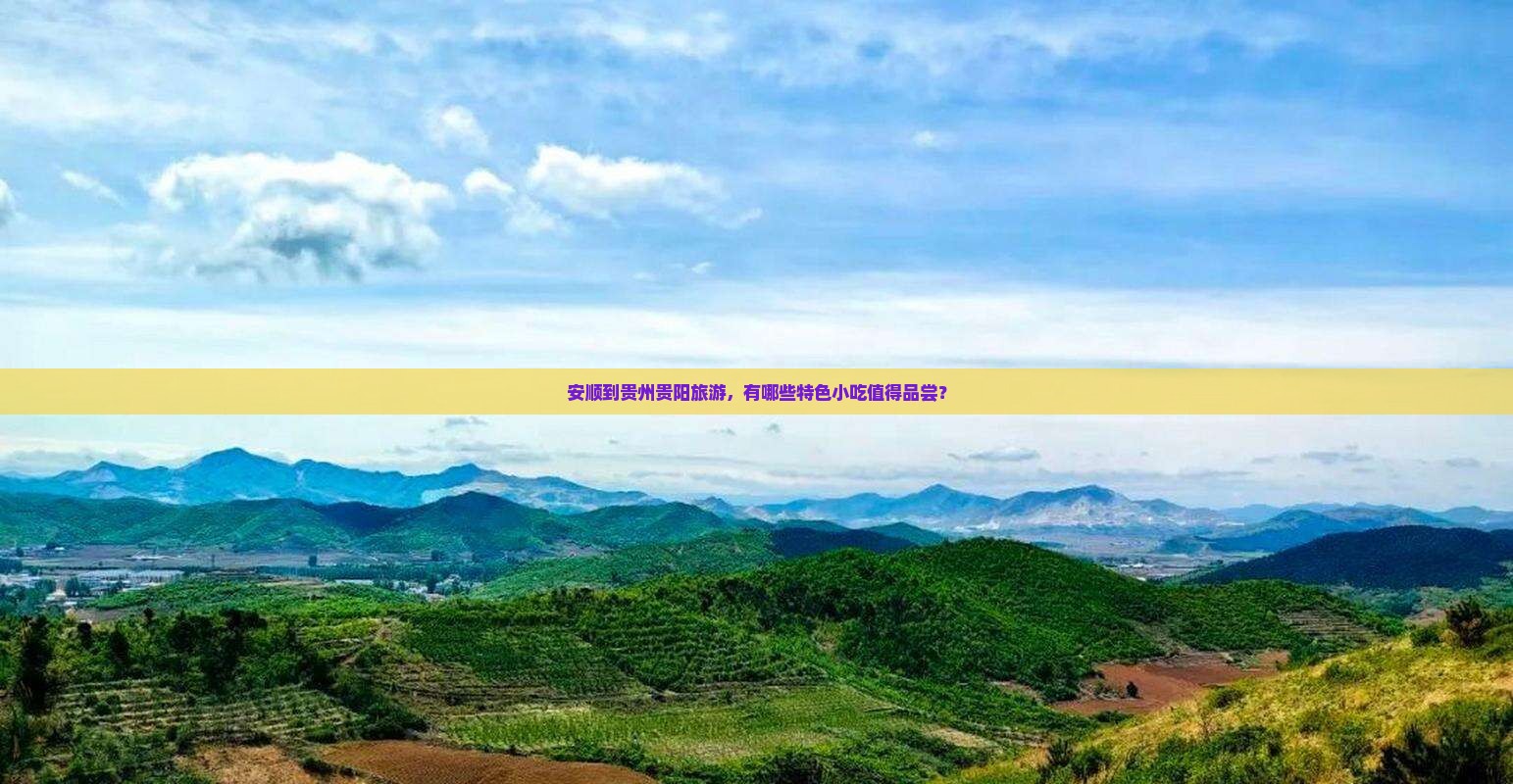 安顺到贵州贵阳旅游，有哪些特色小吃值得品尝？