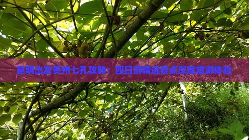 昆明出发贵州七孔攻略：四日游精选景点深度旅游体验