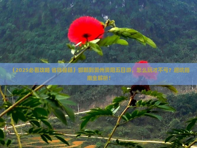 邯郸到贵州贵阳五日游