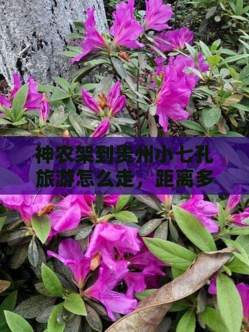 神农架到贵州小七孔旅游