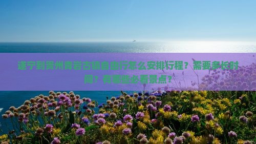 遂宁到贵州青岩古镇自由行怎么安排行程？需要多长时间？有哪些必看景点？