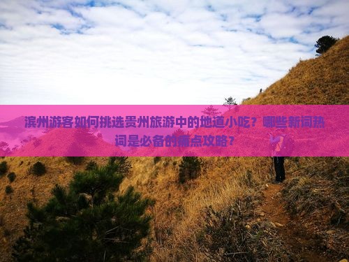 滨州游客如何挑选贵州旅游中的地道小吃？哪些新词热词是必备的痛点攻略？