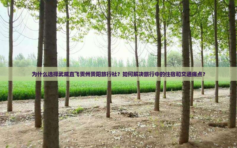 为什么选择武威直飞贵州贵阳旅行社？如何解决旅行中的住宿和交通痛点？