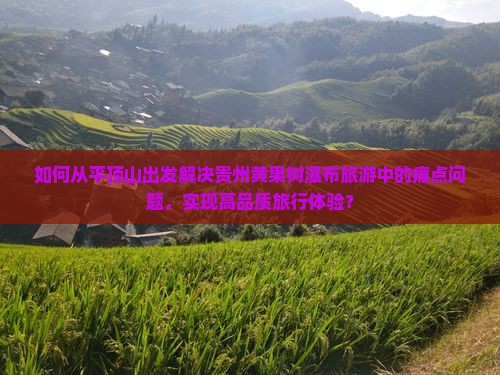 如何从平顶山出发解决贵州黄果树瀑布旅游中的痛点问题，实现高品质旅行体验？