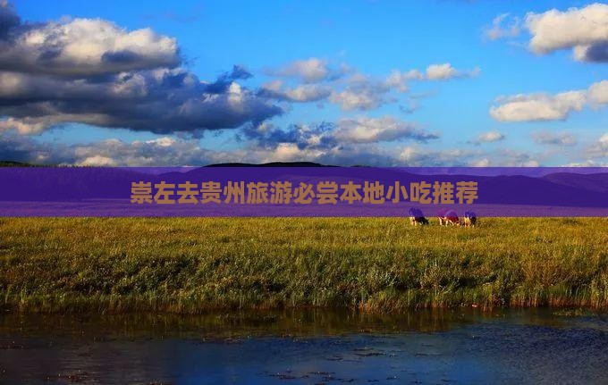 崇左去贵州旅游必尝本地小吃推荐