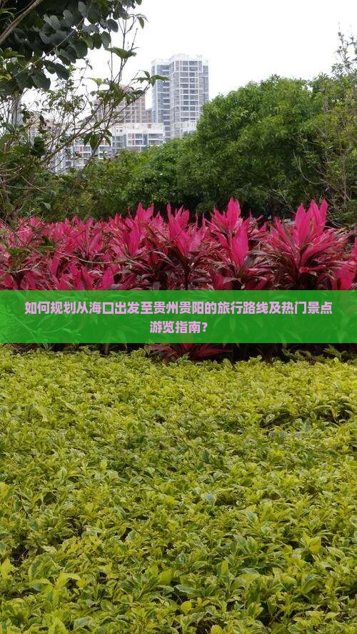 如何规划从海口出发至贵州贵阳的旅行路线及热门景点游览指南？