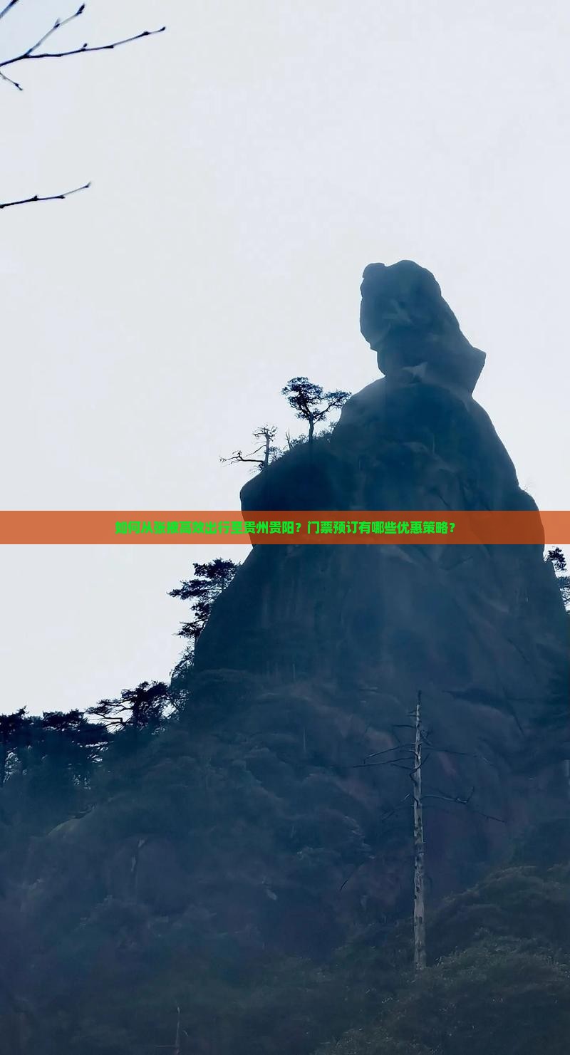 如何从张掖高效出行至贵州贵阳？门票预订有哪些优惠策略？
