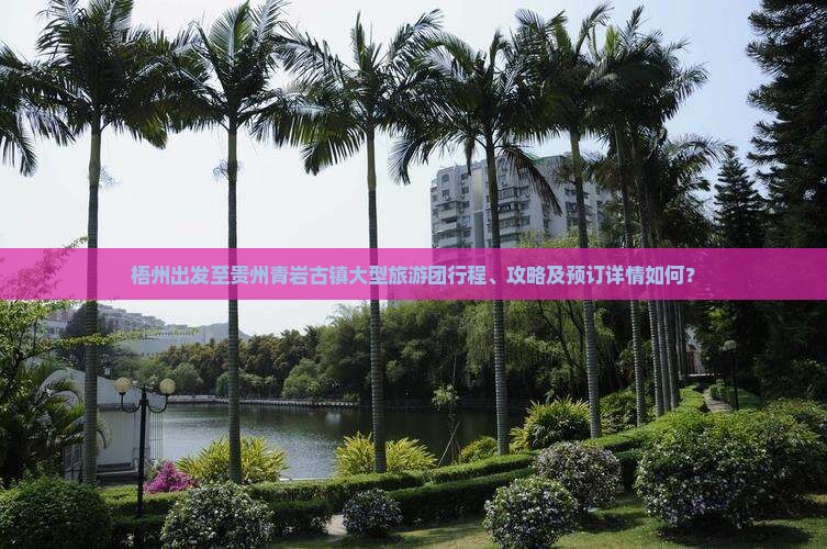 梧州出发至贵州青岩古镇大型旅游团行程、攻略及预订详情如何？