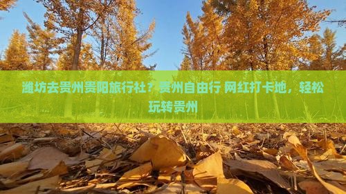 潍坊去贵州贵阳旅行社？贵州自由行+网红打卡地，轻松玩转贵州