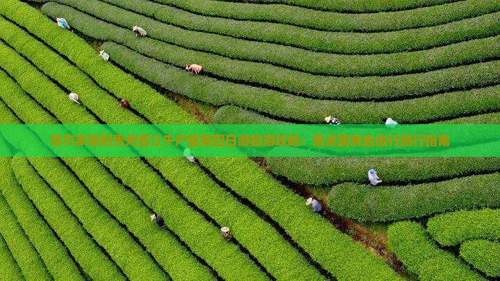鄂尔多斯到贵州西江千户苗寨四日游旅游攻略：景点路线自由行旅行指南