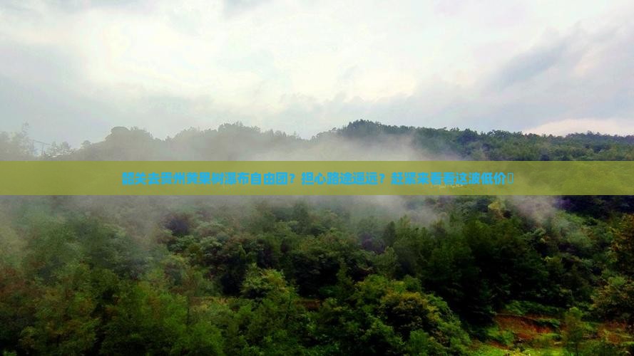 韶关去贵州黄果树瀑布自由团？担心路途遥远？赶紧来看看这波低价團