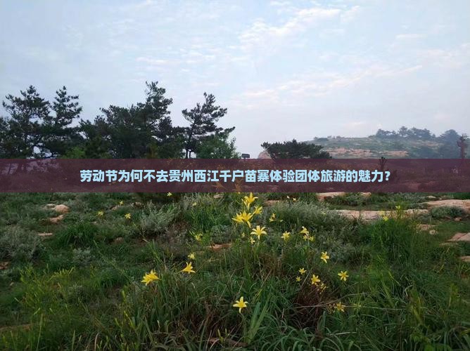 劳动节为何不去贵州西江千户苗寨体验团体旅游的魅力？