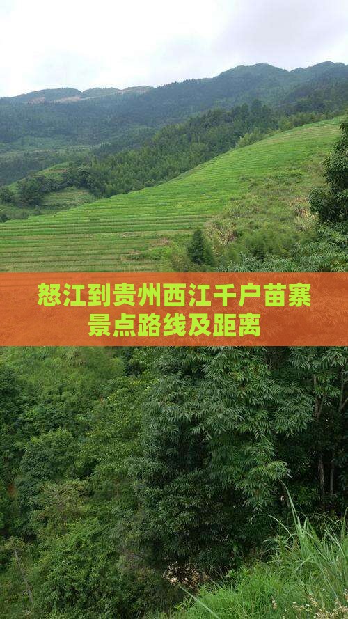 怒江到贵州西江千户苗寨景点路线及距离